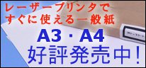 一般紙カット版