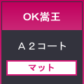 OK嵩王