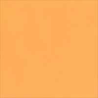 ルシオライト蛍光オレンジ７８８×１０９１中厚口