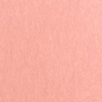 まんだら さんご薄口1091×788<51.6>