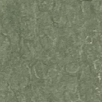 まんだら　ときわ薄口