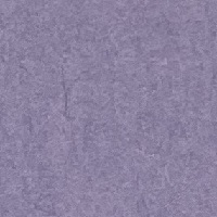 まんだら　りんどう薄口１０９１×７８８＜５１.６＞