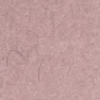 まんだら　しおん薄口