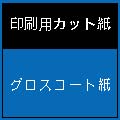 グロスコート紙　１００ｇ　Ａ３