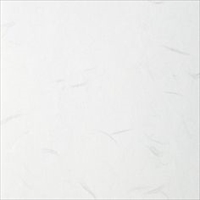 大礼紙　白　Ａ４サイズ（５０枚入）