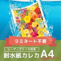 カレカ（ＭＷ５　Ａ４２５０）　片面光沢　厚手　Ａ４サイズ