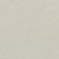 ＮＴラシャ　スノーホワイト(訳アリ品)