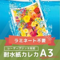 カレカ（ＭＷ５　Ａ３２５０）　片面光沢　厚手　Ａ３サイズ