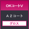 ＯＫコートＶ７８８×１０９１＜１１０＞