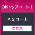 ＯＫトップコート＋７８８×１０９１＜１１０＞