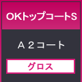 ＯＫトップコートＳ７８８×１０９１＜７３＞