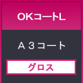 ＯＫコートＬ７６５×１０８５＜５３＞