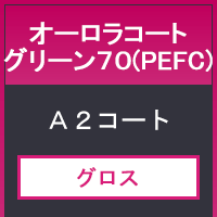 オーロラコートグリーン７０（ＰＥＦＣ）７８８×１０９１＜１１０＞