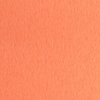 ＴＡＮＴ　Ｉ-５３１０９１×７８８＜７０＞