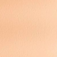 ＴＡＮＴ　Ｃ-５４１０９１×７８８＜７０＞