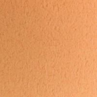 ＴＡＮＴ　Ｍ-５５１０９１×７８８＜７０＞