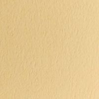 ＴＡＮＴ　Ｅ-５５１０９１×７８８＜７０＞