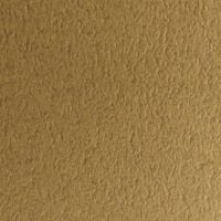 ＴＡＮＴ　Ｘ-５７１０９１×７８８＜７０＞