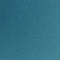ＴＡＮＴ　Ｄ-６９１０９１×７８８＜７０＞