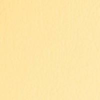 ＴＡＮＴ　Ｙ-６１０９１×７８８＜７０＞
