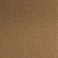 ＴＡＮＴ　Ｓ-１２１０９１×７８８＜７０＞