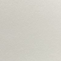 トーンＦ　ＷＧ０１０９１×７８８＜６０＞