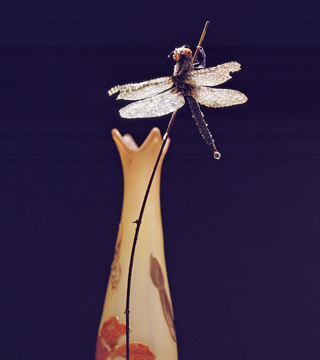 『朝露 –Morning dew–』(1998年)